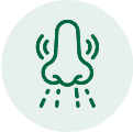 Allergic Rhinitis
